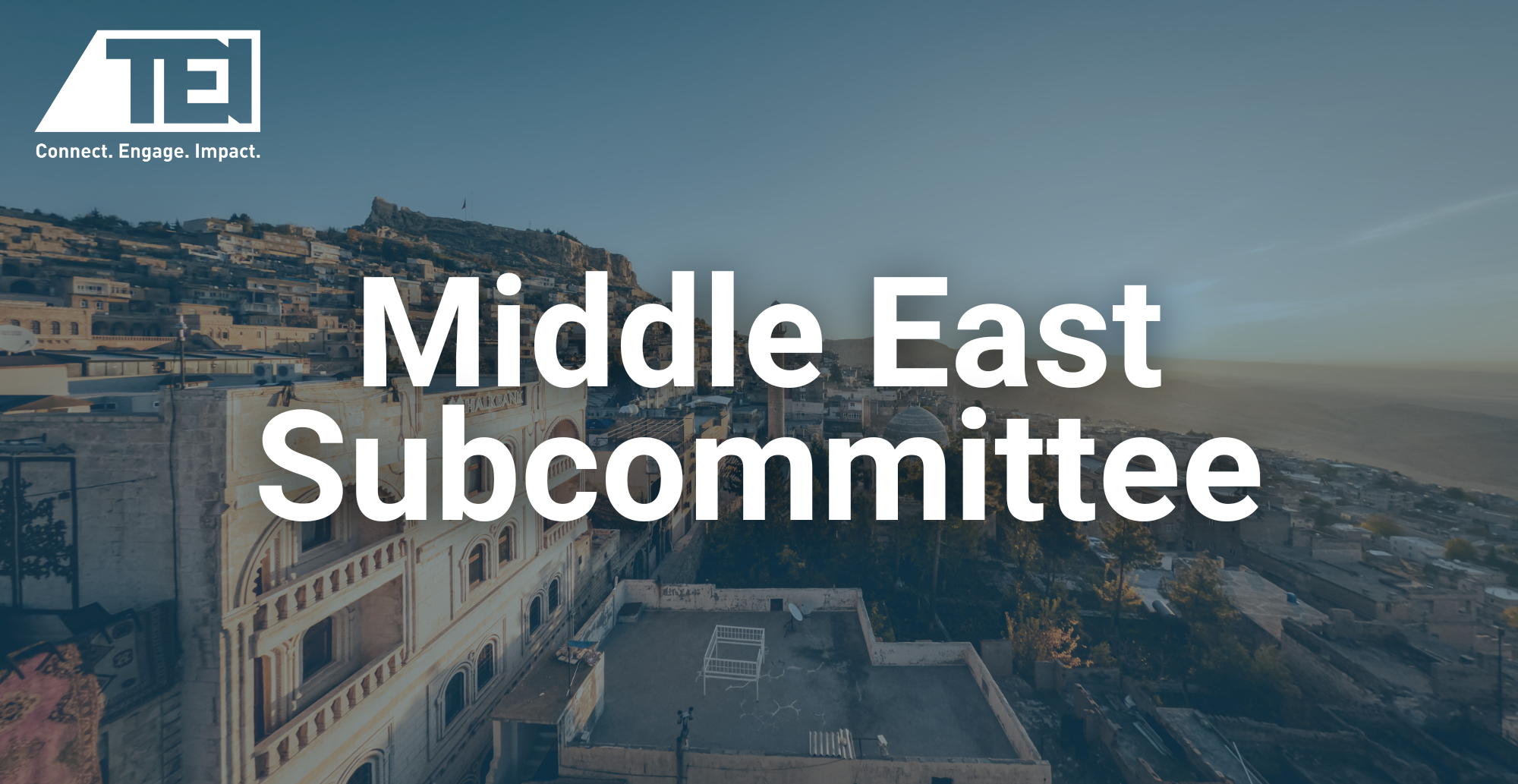 Middle East Tax Subcommittee