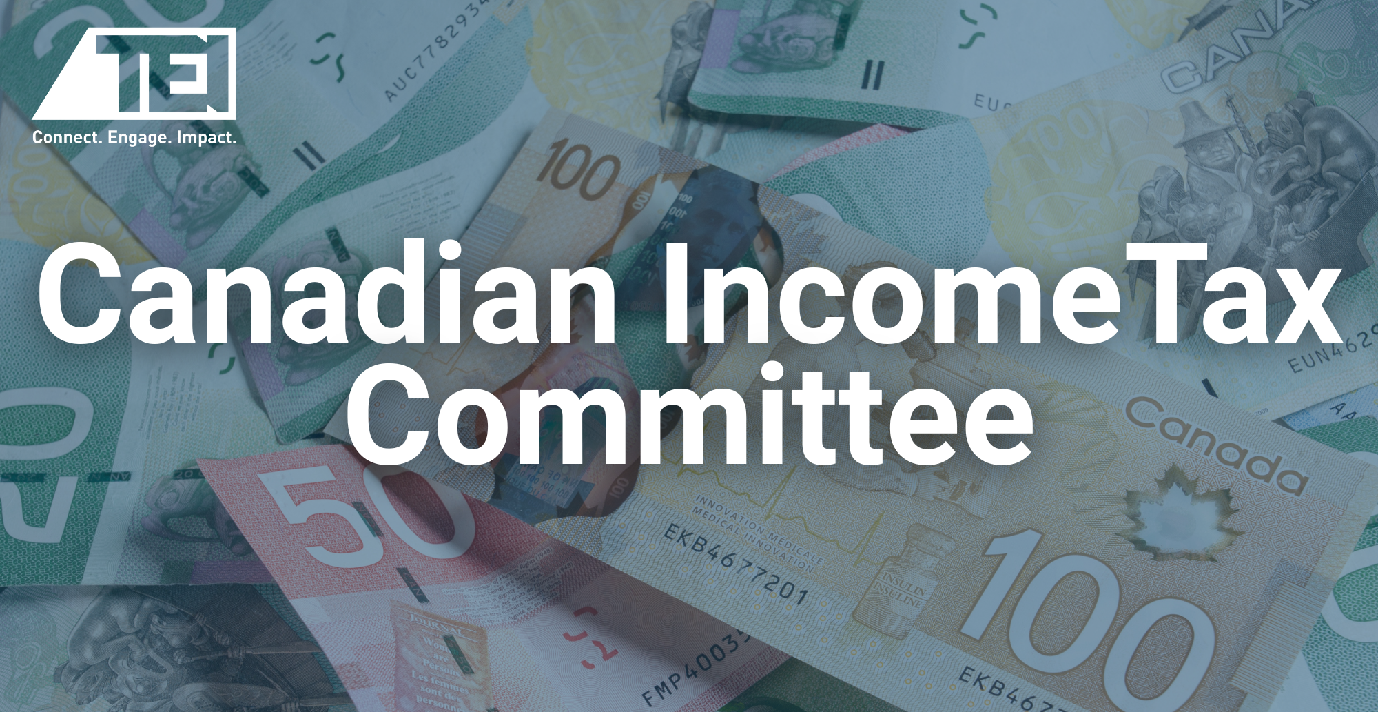 Canadian Income Tax Committee