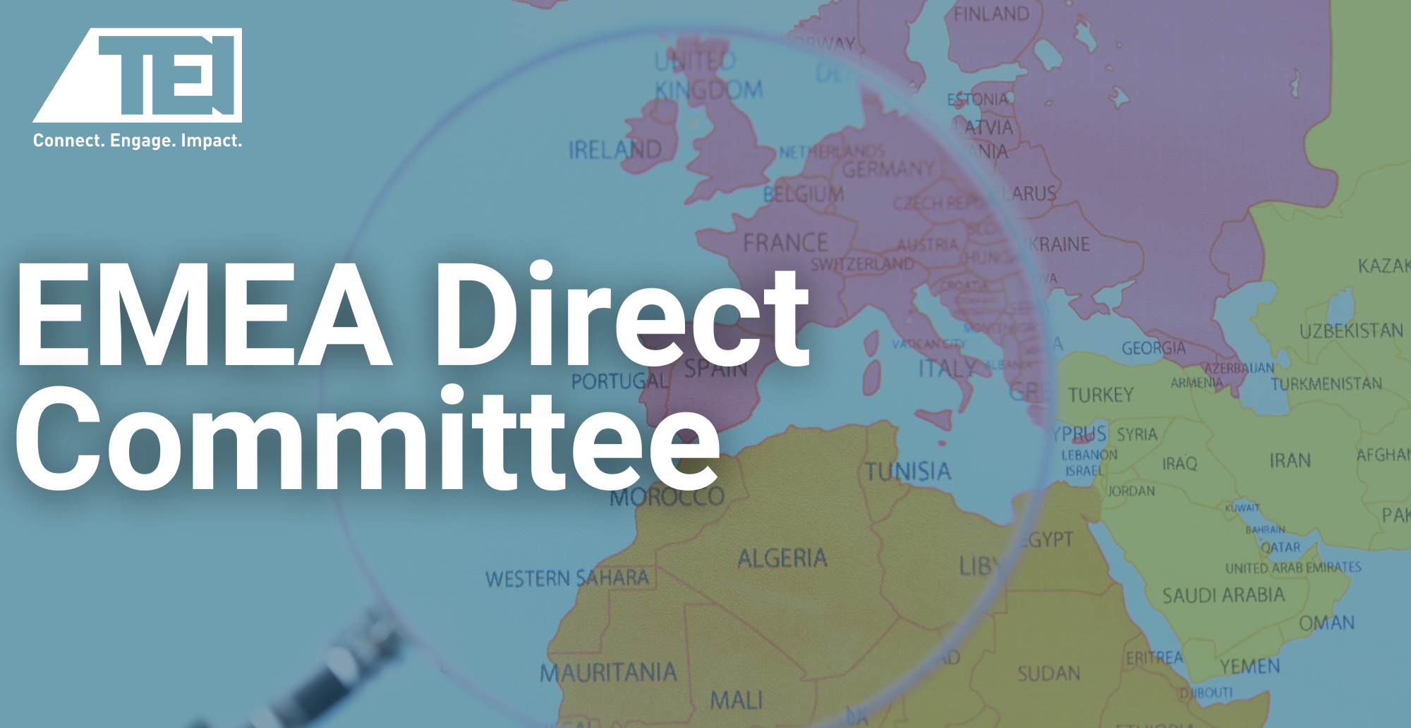 EMEA DIRECT TAX COMMITTEE