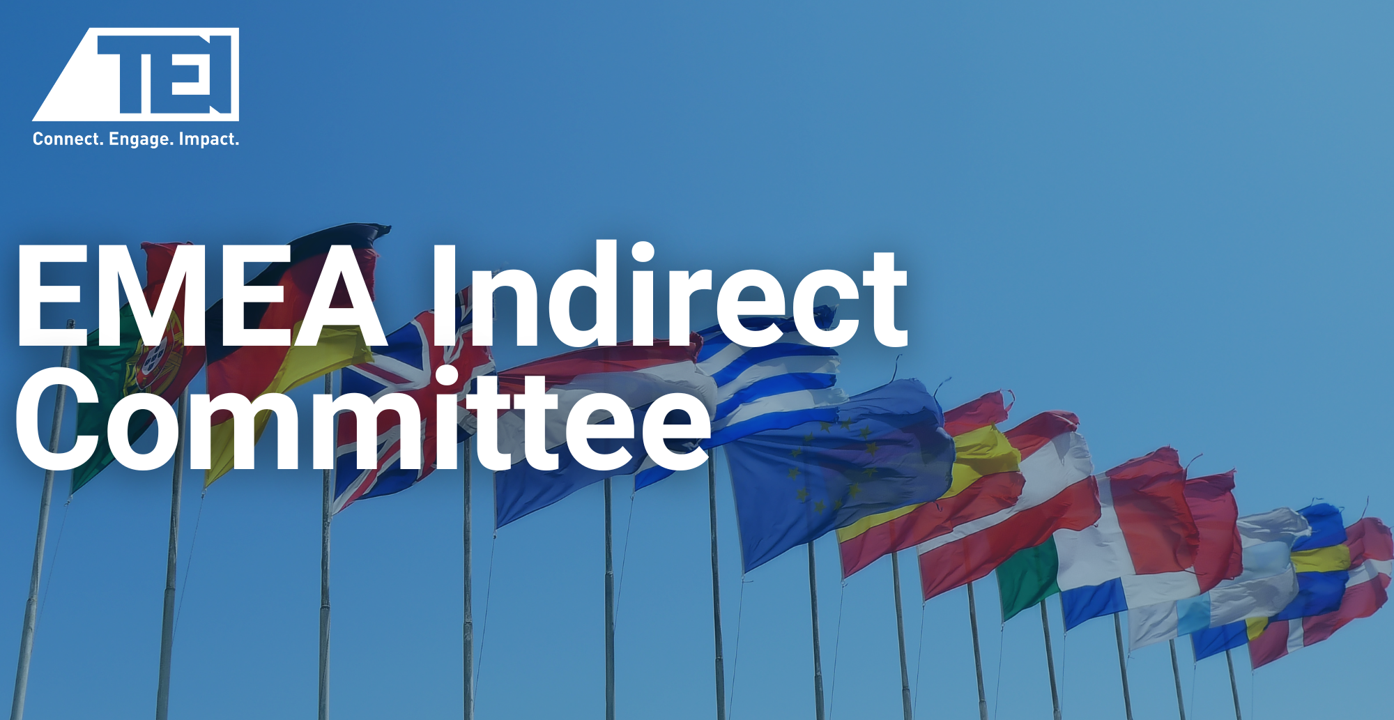 EMEA INDIRECT TAX