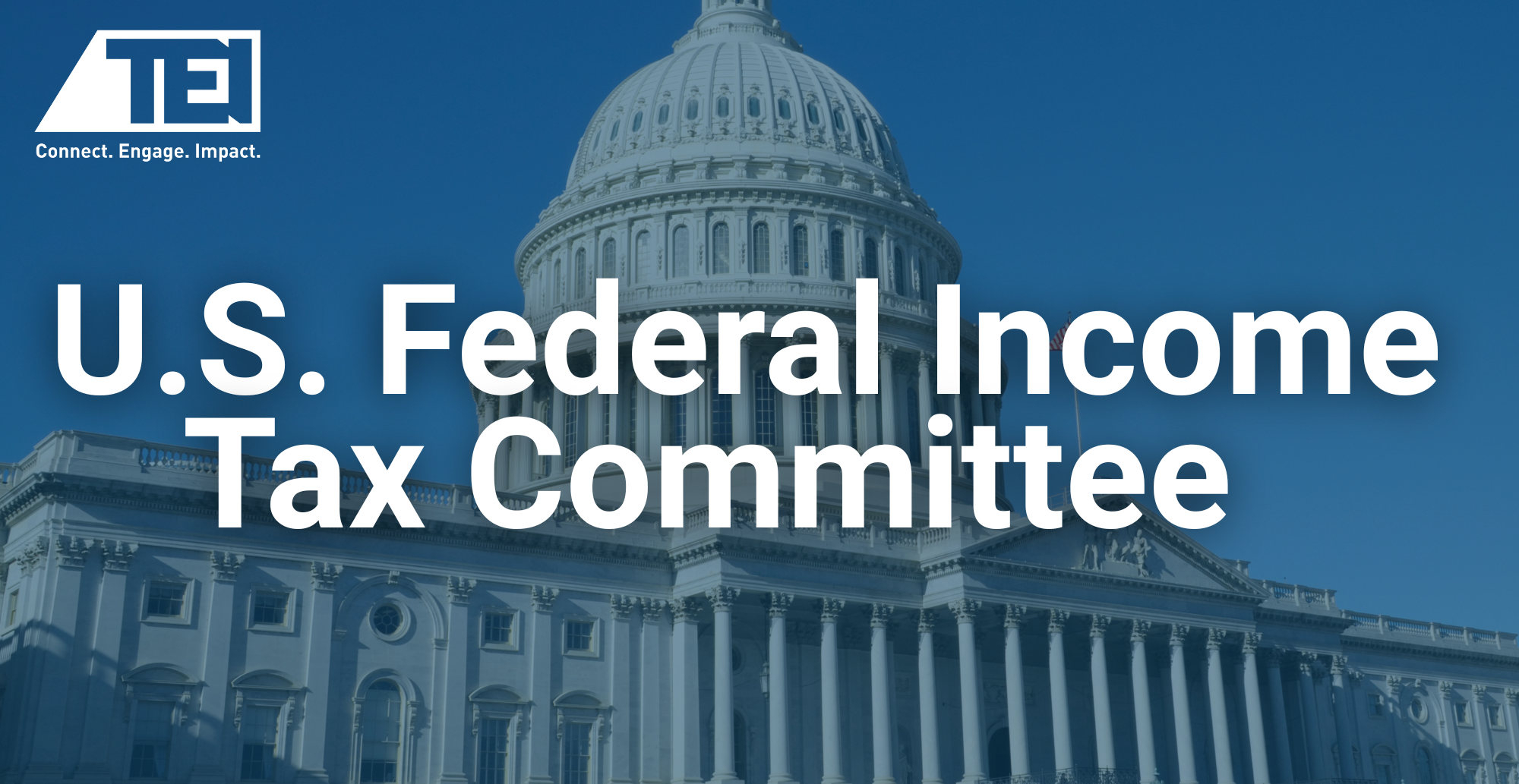 U.S. FEDERAL TAX COMMITTEE